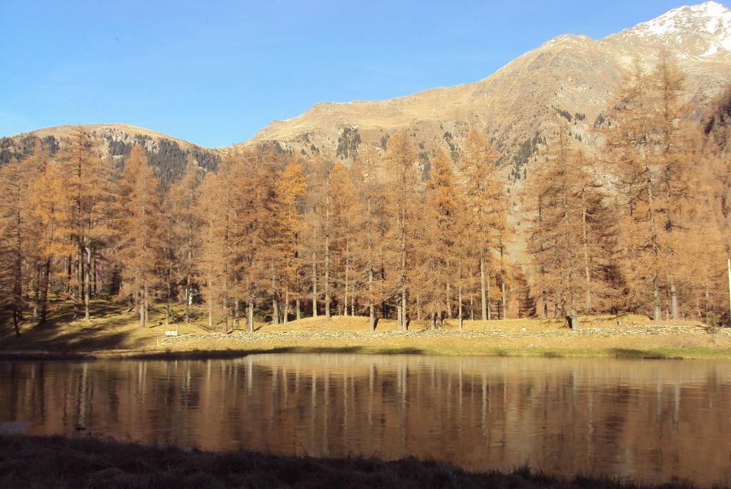 Residence Larice Bianco Campodolcino Buitenkant foto